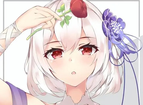 �����������������뺯��ѡSSRѡ���Ƽ�