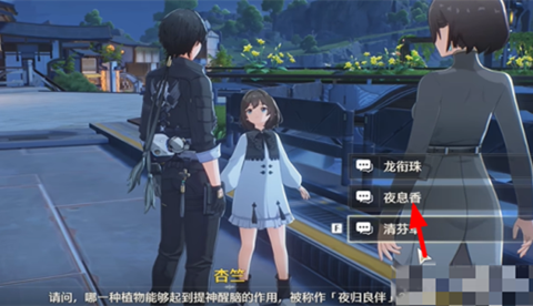 �������ݿ�������𰸷���2024