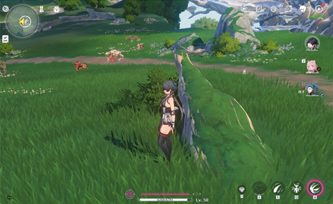 �����޹�֮ɭ��Ұ֮��λ�ý���