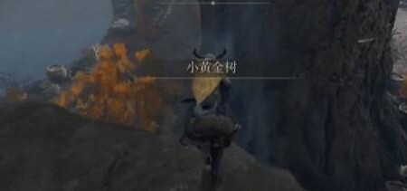 �����Ƿ�����ɫ����ˢ�µص����