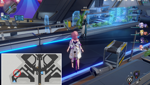 �����������������������ɹ���