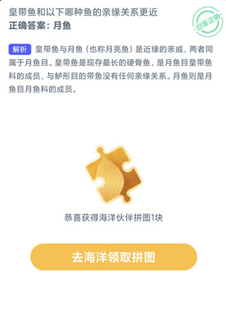 皇带鱼和以下哪种鱼的亲缘关系更近？