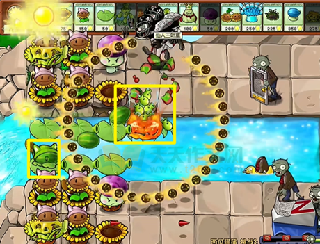 ֲ���ս��ʬ�ӽ�������è��3ͨ�ع���