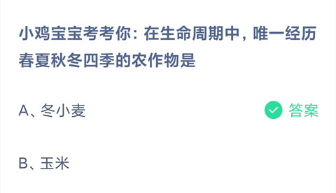 在生命周期中，唯一经历春夏秋冬四季的农作物是？