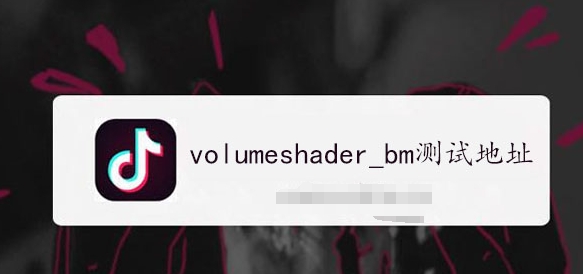 volumeshader_bm���Ե�ַ��ʲô