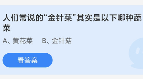 人们常说的“金针菜”其实是以下哪种蔬菜？