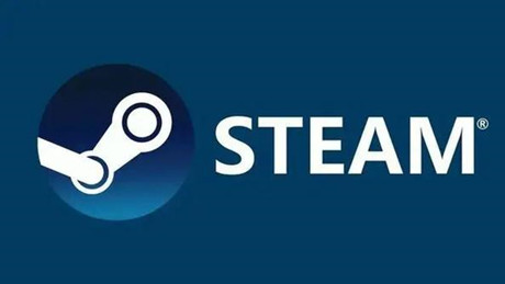 steamͥͬʱ淽