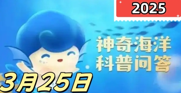 溣325տʴ2025