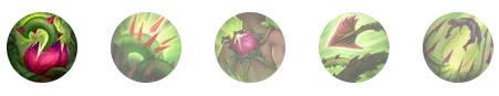 Ӣôӵ