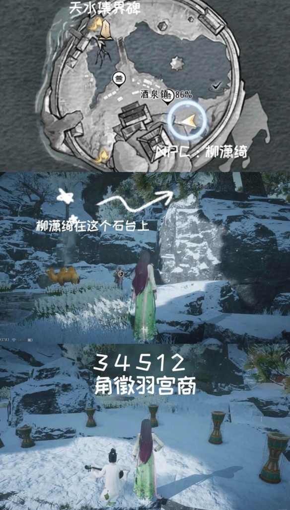 ʮս