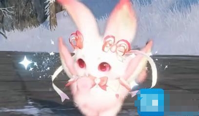 ˮôץ