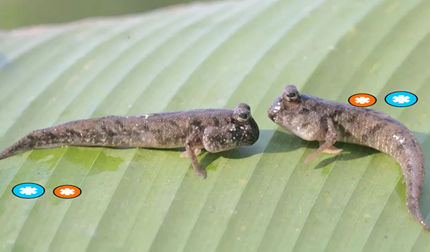 ֧����2025���溣��9.11��