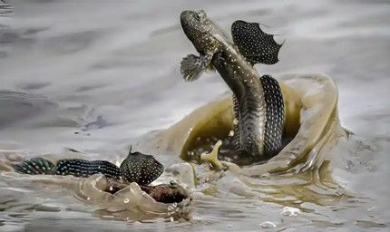 2025֧�������溣����մ�9.16