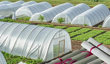 2025֧���������´���մ�9.16