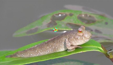 2025֧�������溣��9��19�մ�