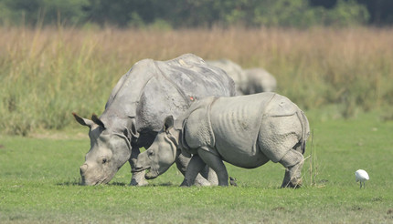 2025֧��������ׯ԰���մ�9.20