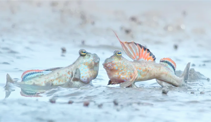 ��Ϳ������ȫ�뿪ˮ������