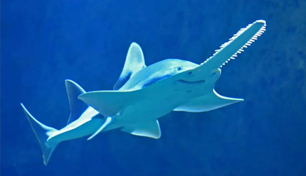 �����ġ��⡱��Ҫ����ʲô��