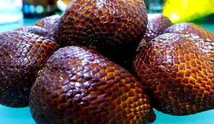 ֧��������ׯ԰���մ�2025.9.25