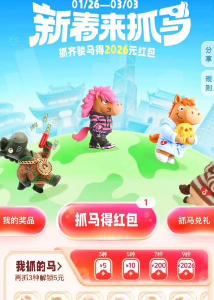 �����´���ץ����������