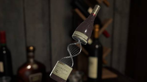 ����Σ��9�����������ô����