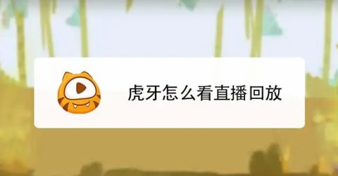 ������ô��ֱ���ط�