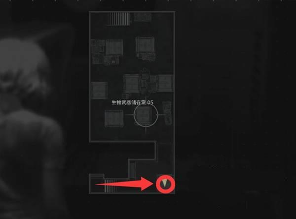 ����Σ��9��������ұ���������һ��