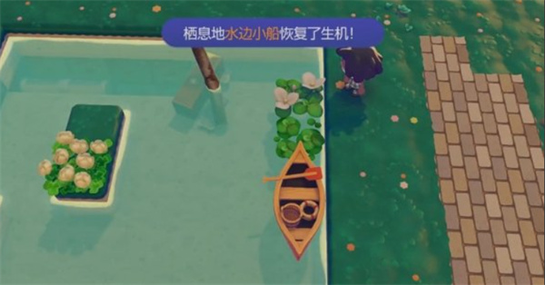 ������Pokopiaˮ��С����Ϣ����ô����