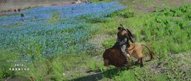 ��ɫɳĮ��ô��ʨ��