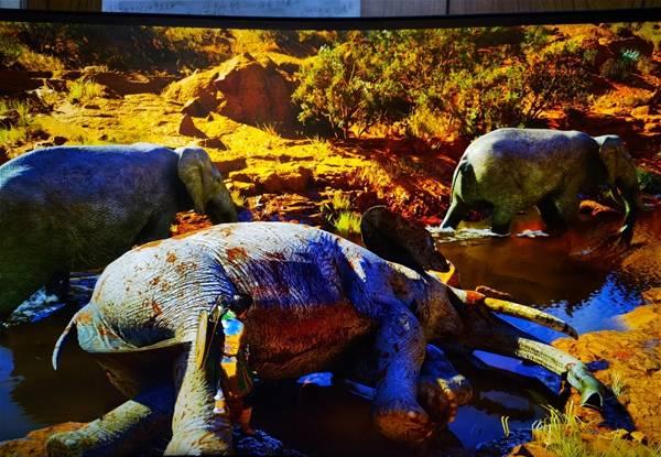 ��ɫɳĮǿ��������������ˢ