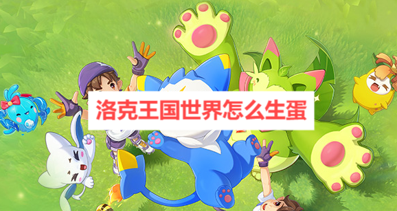 �������������ô����