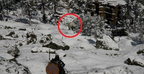 ��ɫɳĮ��˪������ô���