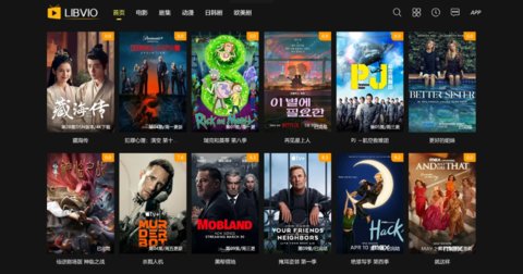 libvio��ҳ��׷�����