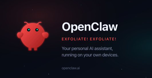 Openclaw��ô����Ϻ