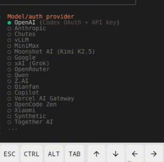 С��Ϻ�ֻ������²���̳�2026