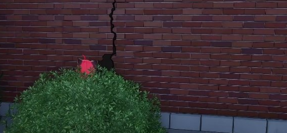 �컷����ί�й¶����������ô��