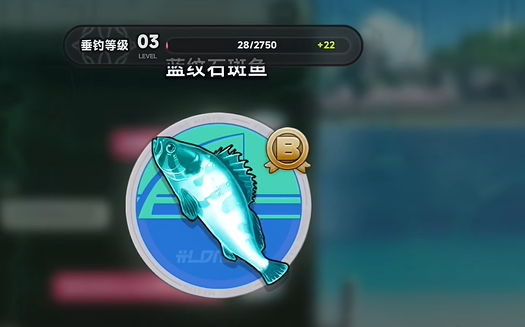 �컷���㿨��������������ʲô