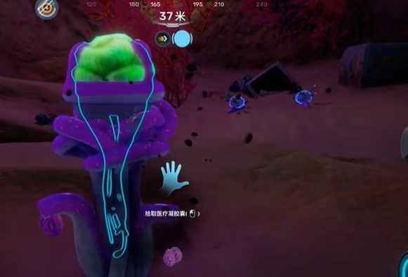 ��Ժ�2������ˮĸɭ����ô���